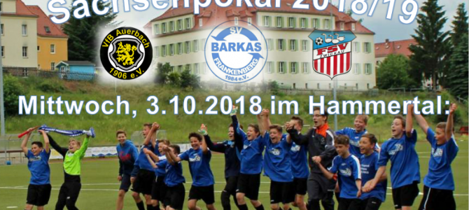 +++ Spielvorschau sächsischer Landespokal +++ +++ Spielvorschau sächsischer Landespokal +++