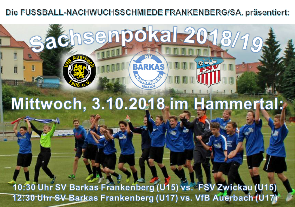 +++ Spielvorschau sächsischer Landespokal +++